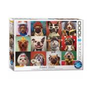 Funny Dogs by Lucia Heffernan Puzzle Puzzle, Puzzle 1000, sklapanje puzli, puzzle prodaja, Beograd, Funny Dogs by Lucia Heffernan Puzzle