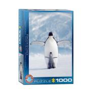 Puzzle, Puzzle 1000, sklapanje puzli, puzzle prodaja, Beograd, Penguin & Chick Puzzle