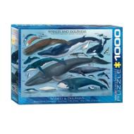 Puzzle, Puzzle 1000, sklapanje puzli, puzzle prodaja, Beograd, Whales & Dolphins