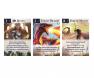 Drustvena igra, drustvene igre, Beograd, Prodaja, Srbija, zabava, party igre, igre zabavu, igre za okupljanje, party, fantasy, sci-fi, Lost Legacy Third Chronicle - Sacred Grail & Staff of Dragons elementi
