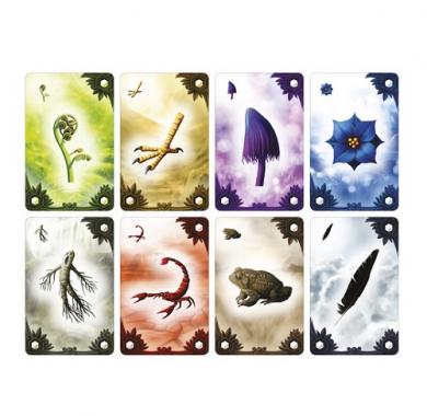 Alchemists - Karte sastojaka Drustvena igra, drustvene igre, Beograd, Prodaja, Srbija, zabava, strategija, fantasy, sci-fi, Alchemists