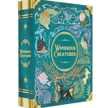 Drustvena igra, drustvene igre, Beograd, Prodaja, Srbija, zabava, porodicne igre, igre za porodicu, fantasy, sci-fi, Wondrous Creatures